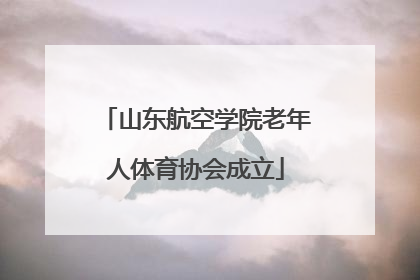 山东航空学院老年人体育协会成立